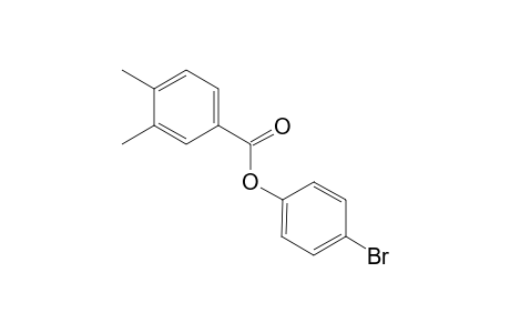 4-Bromophenyl 3,4-dimethylbenzoate