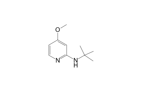 N-tert-Butyl-4-methoxypyridin-2-amine