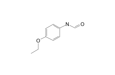 p-Formophenetidide