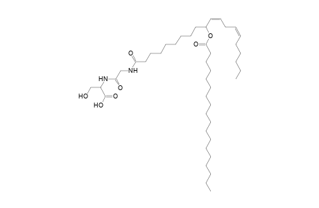 NAGlySer 18:0/20:2