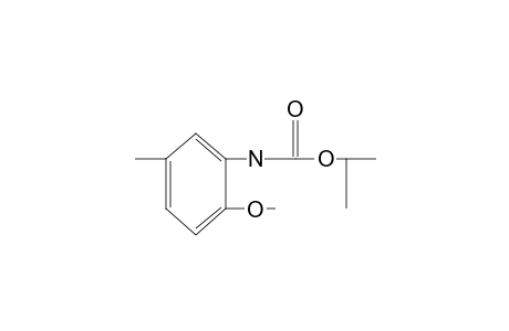 2-methoxy-5-methylcarbanilic acid, isopropyl ester