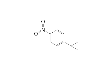 1-tert-Butyl-4-nitrobenzene