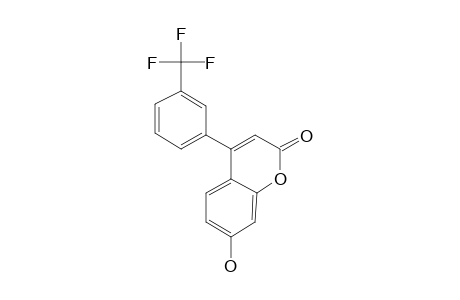 7-Hydroxy-4-(3-trifluoromethylphenyl)coumarin