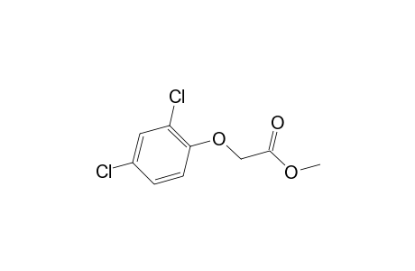 (2,4-dichlorophenoxy)acetic acid, methyl ester
