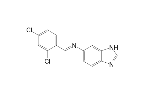 N-[(E)-(2,4-Dichlorophenyl)methylidene]-1H-benzimidazol-6-amine