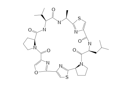 SANGUINAMIDE_B