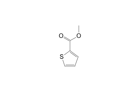 2-Thiophenecarboxylic acid methyl ester