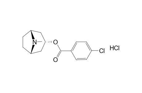 tropan-3-ol, p-chlorobenzoate (ester), hydrochloride