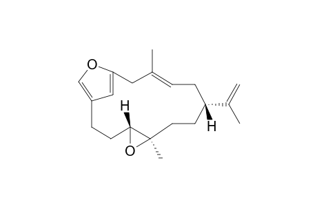 Crematofuran