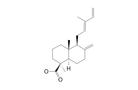 (E)-COMMUNIC-ACID