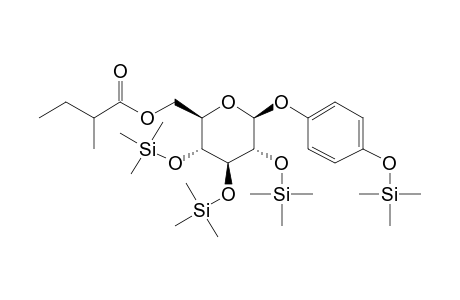 .beta.-D-Glucopyranoside, 4-hydroxyphenyl, 6-(2-methylbutanoate), 4tms derivartive