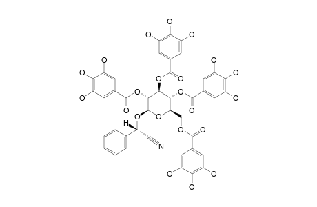 PRUNASIN-2',3',4',6'-TETRA-O-GALLATE