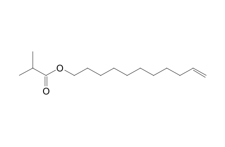 Isobutyric acid, undec-10-enyl ester