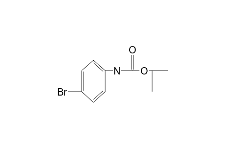 p-bromocarbanilic acid, isopropyl ester
