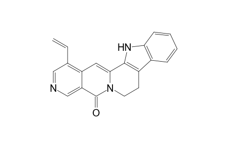 ANGUSTINE