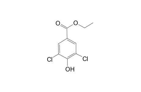 3,5-Dichloro-4-hydroxybenzoic acid ethyl ester