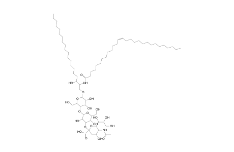 GM3 20:0;2O/28:1
