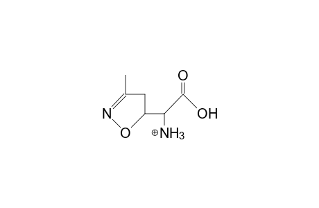 erythro-Ammonium-(3-methyl-4,5-dihydro-isoxazol-5- yl)-acetic acid, cation