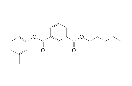 Isophthalic acid, 3-methylphenyl pentyl ester