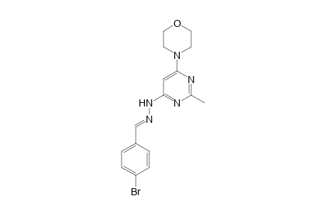 4-Bromobenzaldehyde [2-methyl-6-(4-morpholinyl)-4-pyrimidinyl]hydrazone