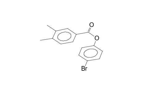 4-Bromophenyl 3,4-dimethylbenzoate