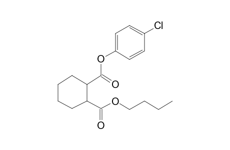 1,2-Cyclohexanedicarboxylic acid, butyl 4-chlorophenyl ester