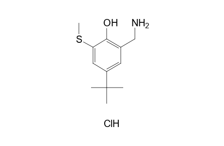 alpha-AMINO-4-tert-BUTYL-6-(METHYLTHIO)-o-CRESOL, HYDROCHLORIDE