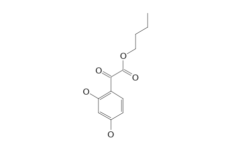 (2,4-DIHYDROXYPHENYL)-OXO-ACETIC_ACID_BUTYLESTER;FUKANEKETOESTER_A