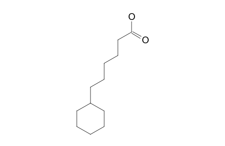 6-cyclohexylhexanoic acid