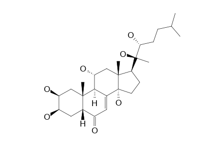 AJUGASTERONE-C