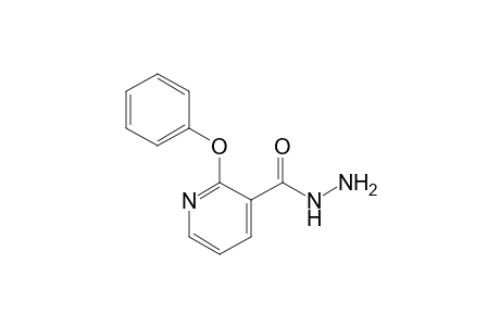 2-Phenoxynicotinic acid hydrazide