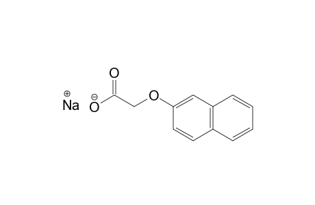 beta-NAPHTHOXYACETIC ACID, SODIUM SALT