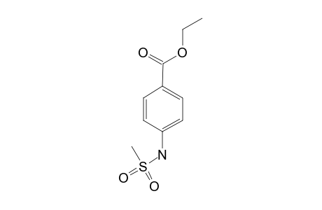 p-(methylsulfonamido)benzoic acid, ethyl ester
