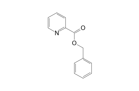 picolinic acid, benzyl ester