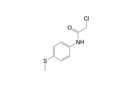 2-chloro-4'-(methylthio)acetanilide