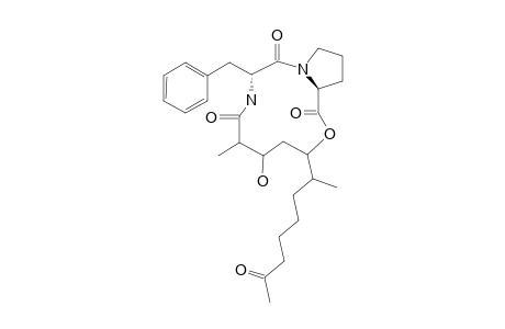 TRASNS-ACREMOLIDE_B;MINOR_CONFORMER