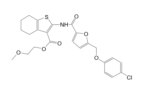 2-methoxyethyl 2-({5-[(4-chlorophenoxy)methyl]-2-furoyl}amino)-4,5,6,7-tetrahydro-1-benzothiophene-3-carboxylate