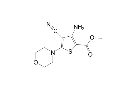 3-Amino-4-cyano-5-morpholino-2-thiophenecarboxylic acid, methyl ester