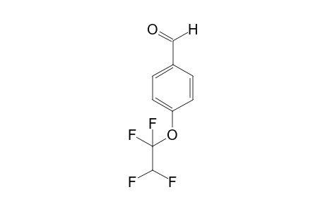 4-(1,1,2,2-Tetrafluoroethoxy)benzaldehyde