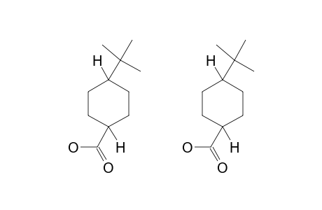 4-tert-Butylcyclohexanecarboxylic acid