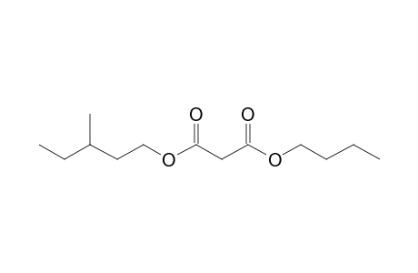 Malonic acid, butyl 3-methylpentyl ester