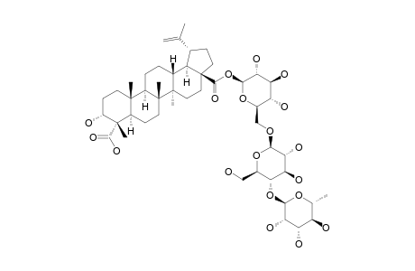 ACANKOREOSIDE-A;#1;3-ALPHA-HYDROXY-LUP-20(29)-EN-23,28-DIOIC-ACID-28-O-ALPHA-L-RHAMNOPYRANOSYL-(1->4)-BETA-D-GLUCOPYRANOSYL-(1->6)-BETA-D-GLUCOPYRANOSYLESTER