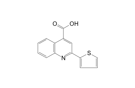 2-(2-thienyl)cinchoninic acid