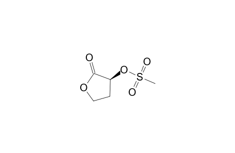 (S)-2-OXO-TETRAHYDROFURAN-YL-3-METHANESULFONATE;(S)-ISOMER