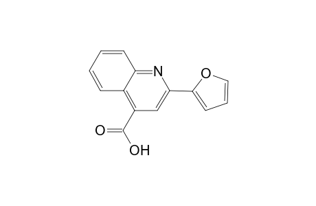 2-(2-Furyl)-4-quinolinecarboxylic acid