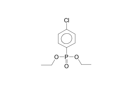 Phosphonic acid, (4-chlorophenyl)-, diethyl ester