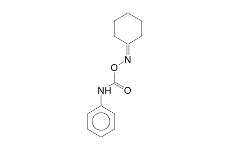 cyclohexanone, O-(phenylcarbamoyl)oxime