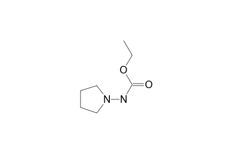 Ethyl N-pyrrolidin-1-ylcarbamate