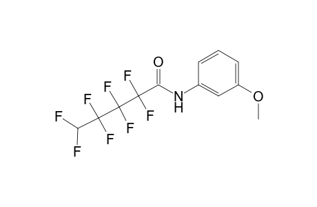 2,2,3,3,4,4,5,5-octafluoro-N-(3-methoxyphenyl)pentanamide