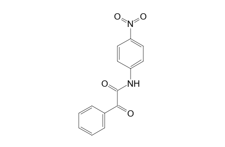 N-(4-Nitro-phenyl)-2-oxo-2-phenyl-acetamide